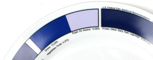 Food Subsidies and Nutritional Requirements Plate