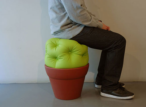 cactus-stool