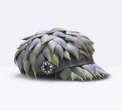 fruit-hat