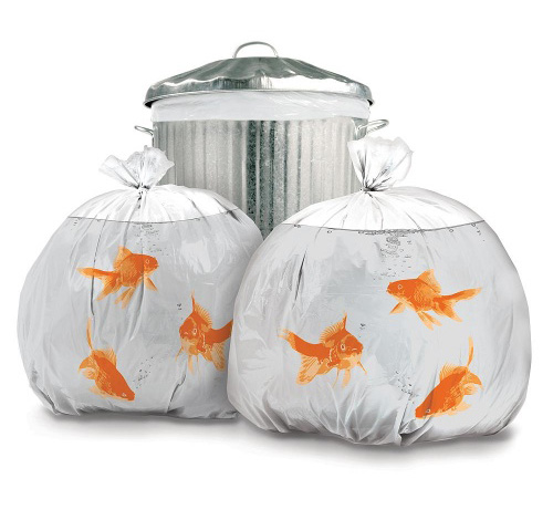 Goldfish Trash Bags from Charles & Marie