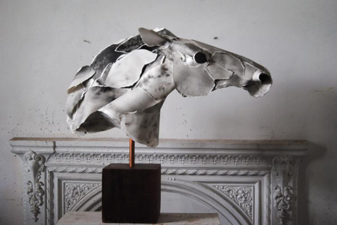 Anna-Wili Highfield