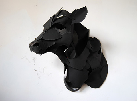 Anna-Wili Highfield