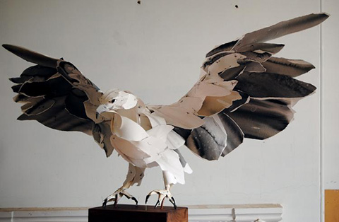 Anna-Wili Highfield