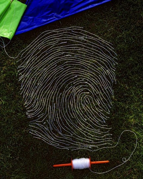kite web