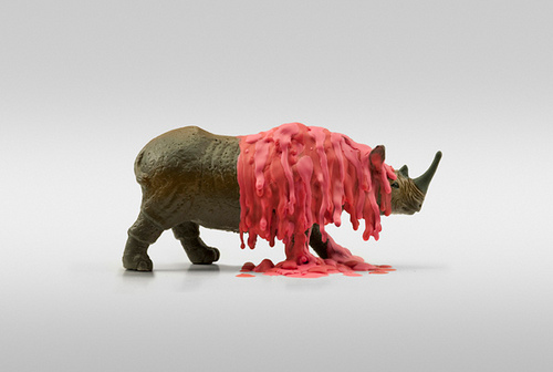 Dollar Store Rhino doug_pedersen-6.jpg