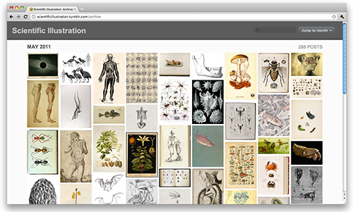 scientific_illustration.jpg