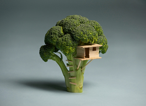 Broccoli Treehouse by Brock Davis broccoli_treehouse.jpg